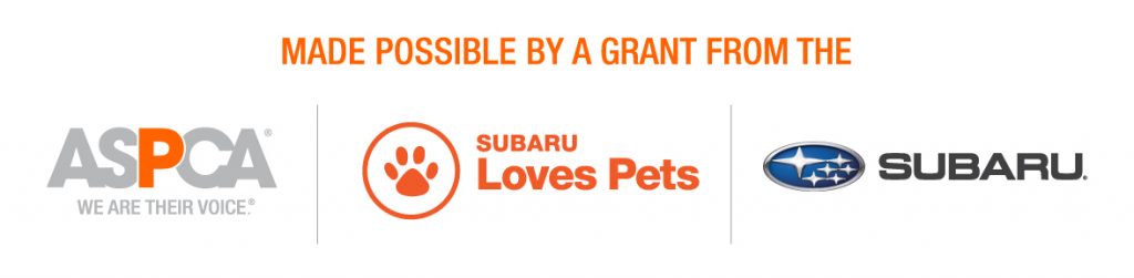 Event made possible by Subaru and the ASPCA