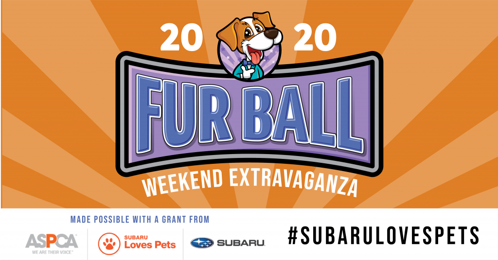2020 Fur Ball Weekend Extravaganza